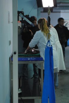 accettazione